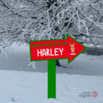 Personalised Christmas family name sign - Reindeer