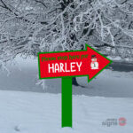 Personalised Christmas family name sign - Snowman
