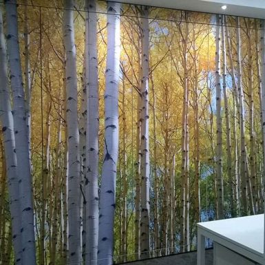 Diamon Interiors full colour digitally printed forest themed wallpaper