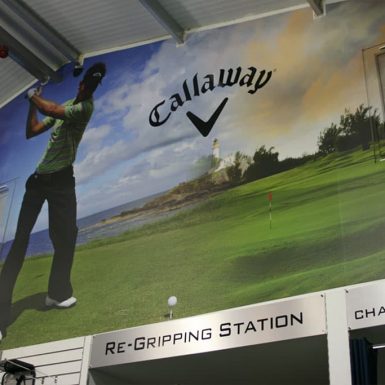 Nevada Bobs digitally printed golf course themed wallpaper