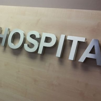 Hillcrest Animal Hospital - CNC cut satin stainless steel 3d built-up lettering