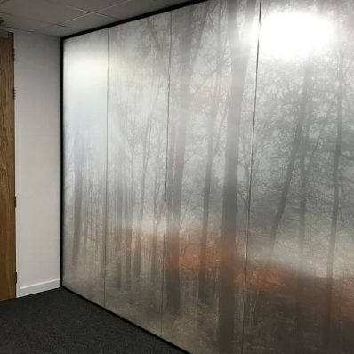 Diamond Interiors The Idol - window graphics digitally printed on frosted